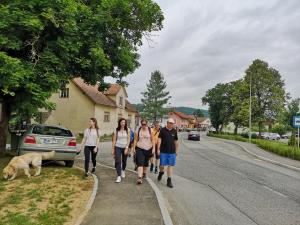 IMG_20190622_085723