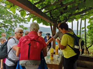 IMG_20190622_091654