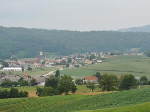 IMG_20190622_091952