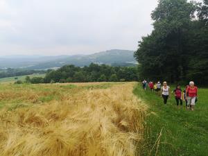 IMG_20190622_092455