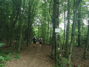 IMG_20190622_092829