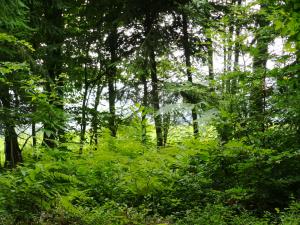 IMG_20190622_092913