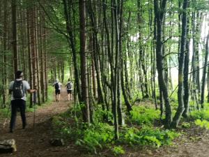 IMG_20190622_092940