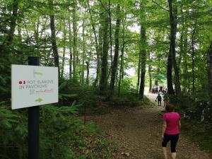 IMG_20190622_093238