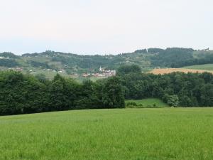IMG_20190622_104552