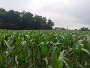 IMG_20190622_104605