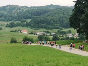IMG_20190622_104702
