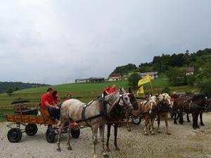 IMG_20190622_121538