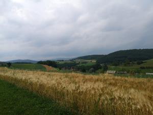 IMG_20190622_121926