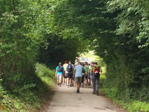 IMG_20190622_122321