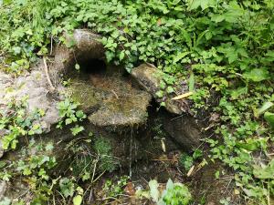 IMG_20190622_122705