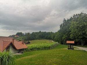 IMG_20190622_123920