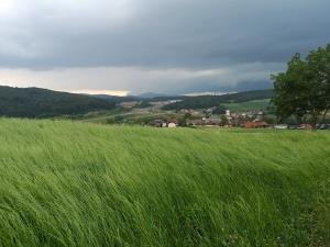 IMG_20190622_125843