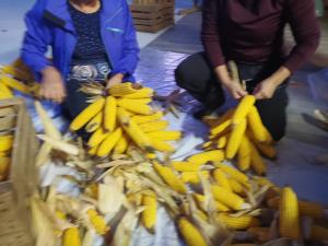 IMG_20191011_184550_BURST001_COVER