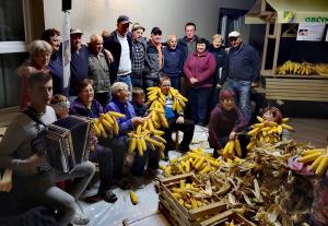 IMG_20191012_093409_resized_20191016_034642572