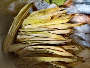 IMG_20191012_093447_resized_20191016_034635557