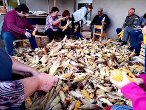 IMG_20191012_164540_resized_20191016_034419899