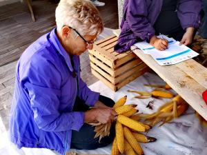 IMG_20191012_164551_resized_20191016_034417146