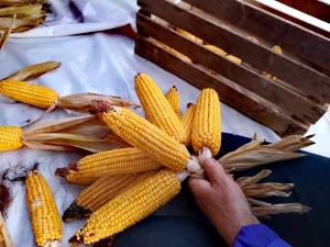 IMG_20191012_164612_resized_20191016_034421926