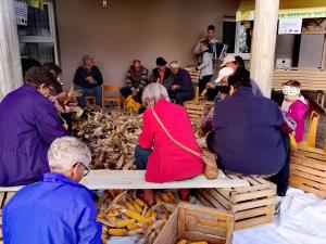 IMG_20191012_164717_resized_20191016_034421228