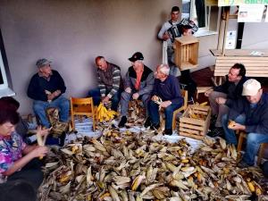 IMG_20191012_164743_resized_20191016_034416435