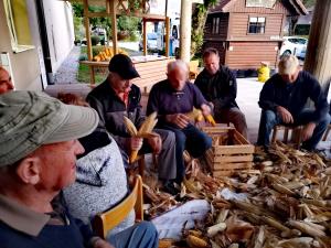 IMG_20191012_164936_resized_20191016_034455629