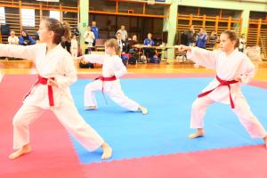 82015211_162016261805060_1183802495558746112_o