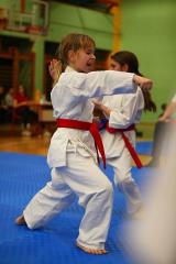 82146178_162017211804965_5214925754382417920_o