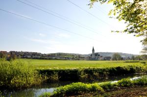 37317DSC_0017