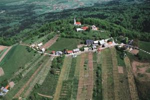 Cerkev sv. Ane na Gradišču
