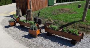 received_1626244094163988